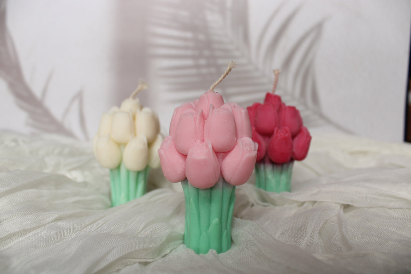 Bouquet de Tulipes