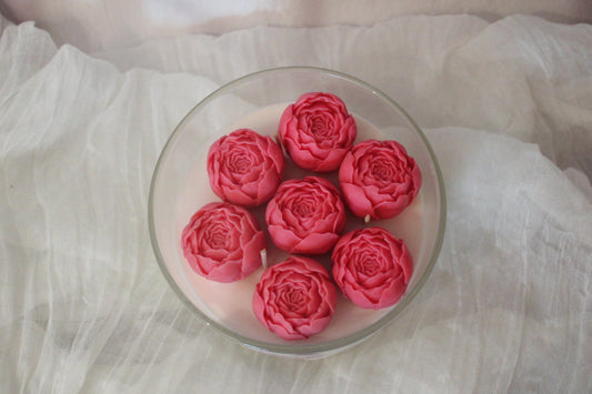 Jardin de Pivoine l'Amour