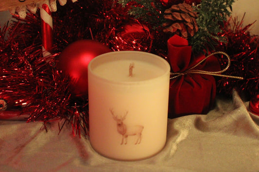 Lumière de Noël Renne